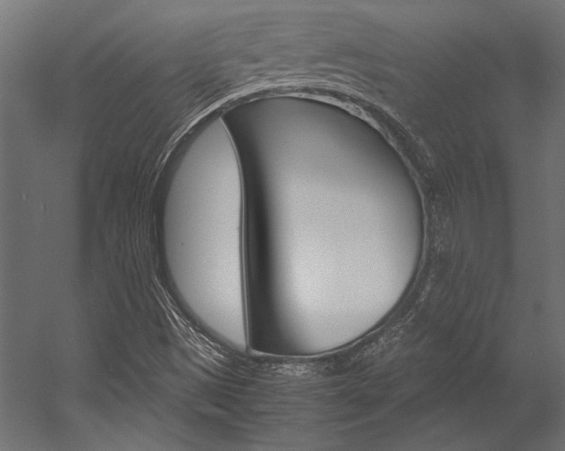 X0000054371497200507290817