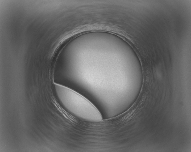 X0000054371499200507290817