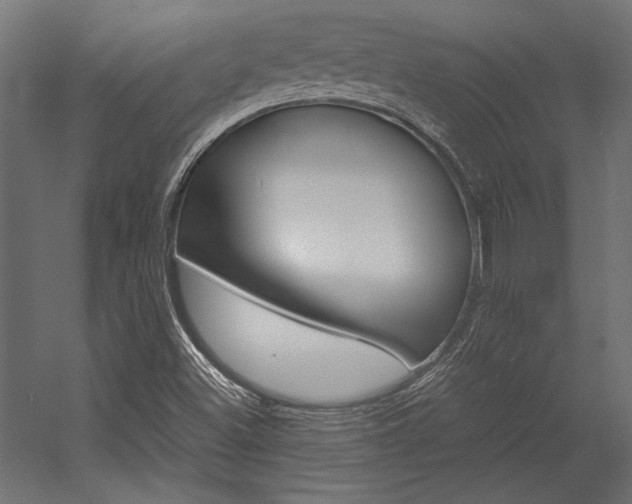X0000054371500200507290817