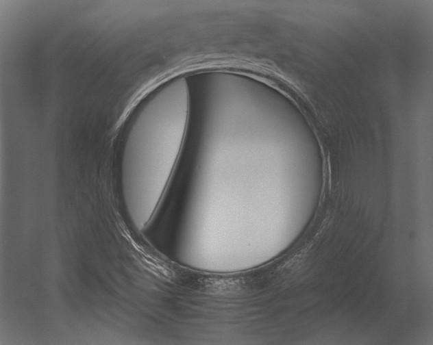X0000054371501200507290817