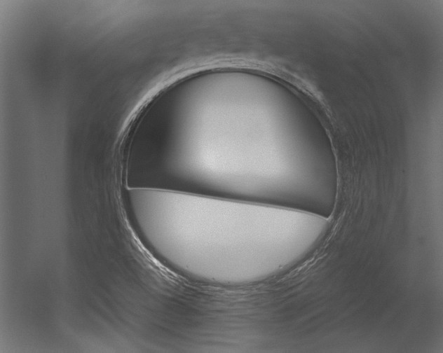 X0000054371504200507290817