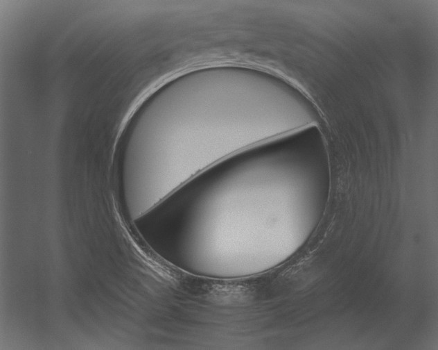 X0000054371509200507290817
