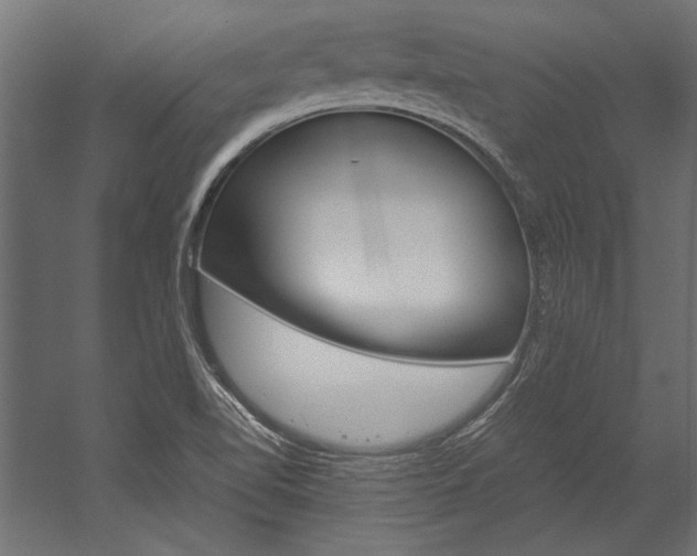 X0000054371510200507290817