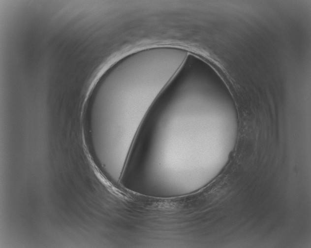 X0000054371511200507290817