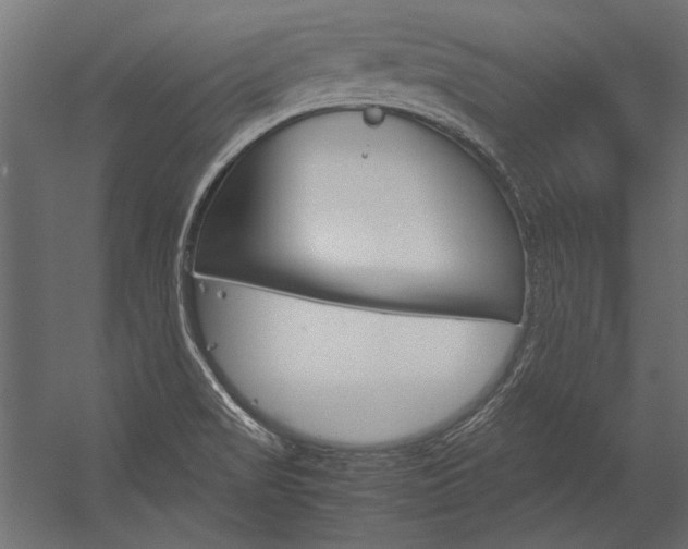 X0000054371517200507290817