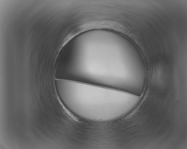 X0000054371521200507290817