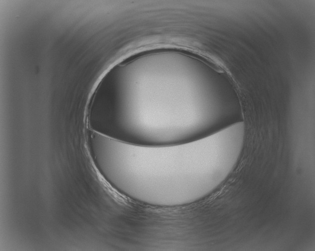 X0000054371524200507290817