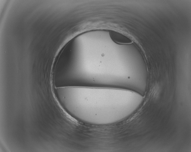 X0000054371525200507290817