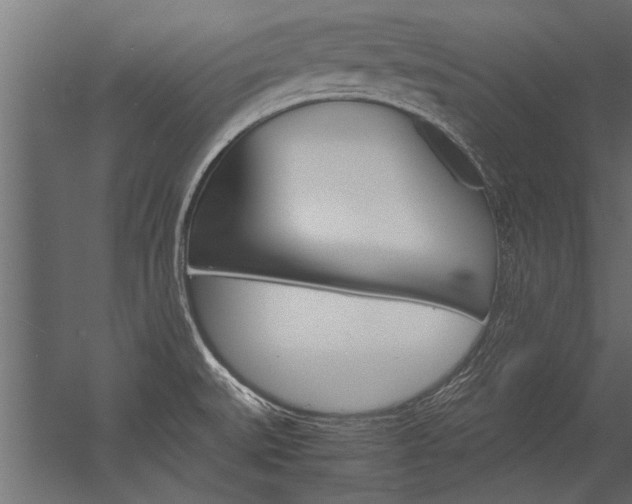 X0000054371527200507290818