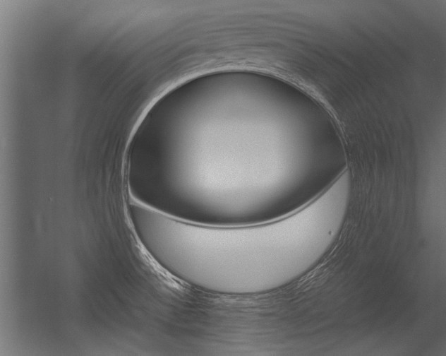 X0000054371532200507290818
