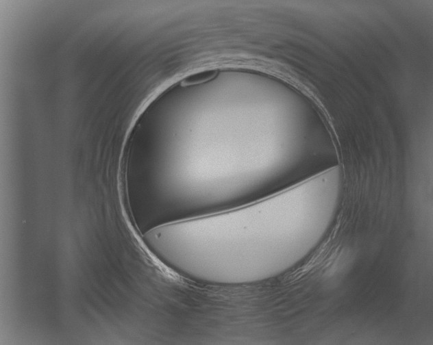 X0000054371533200507290818