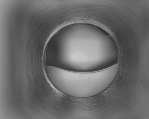 X0000054371536200507290818