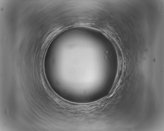 X0000054370001200507291059