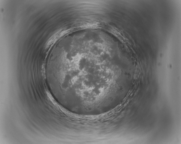 X0000054370002200507291058