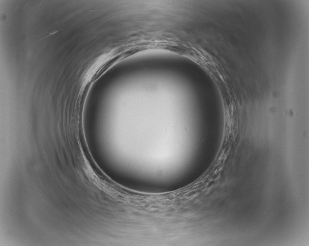 X0000054370003200507291058