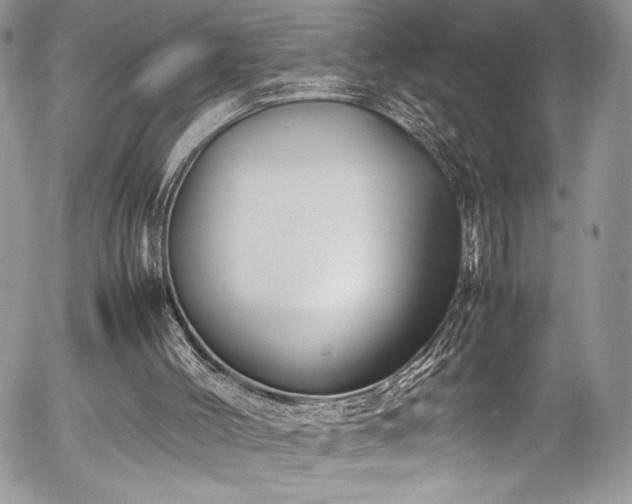 X0000054370004200507291058