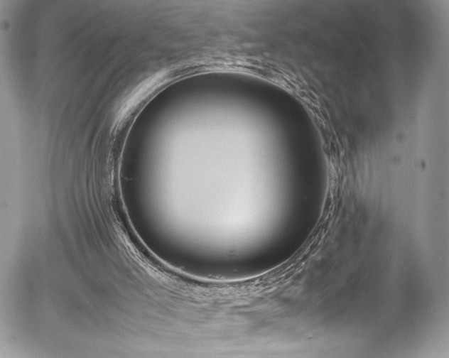 X0000054370005200507291058