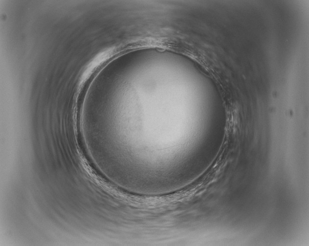 X0000054370006200507291058