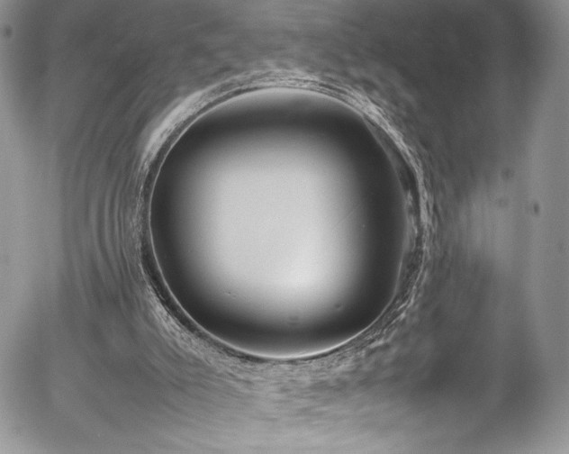 X0000054370007200507291058