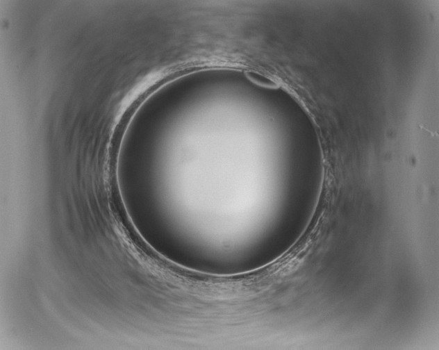 X0000054370008200507291058