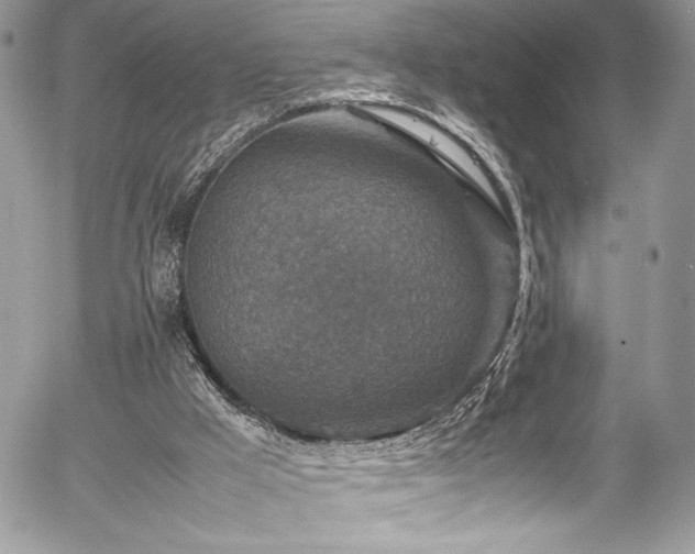 X0000054370009200507291058