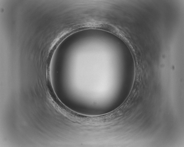 X0000054370011200507291058