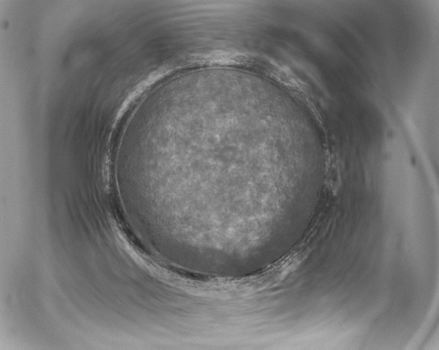 X0000054370012200507291058