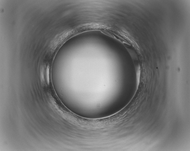 X0000054370014200507291058