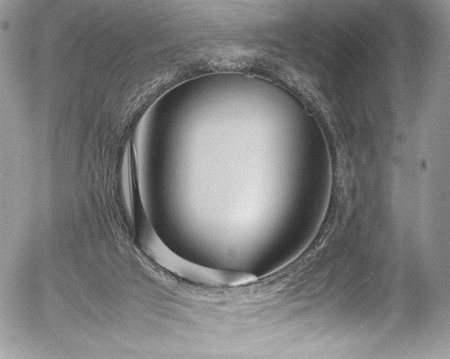 X0000054370017200507291058