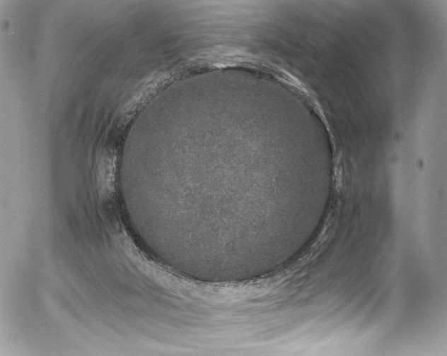 X0000054370018200507291058