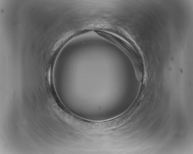 X0000054370019200507291058