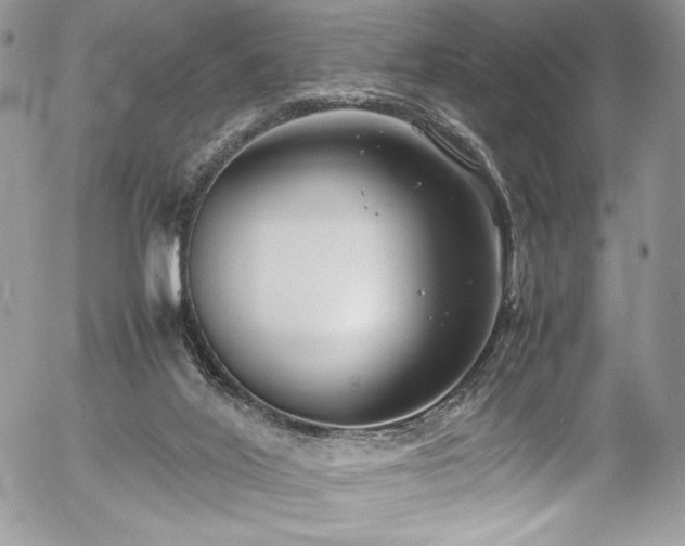 X0000054370020200507291058