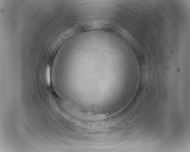 X0000054370022200507291058