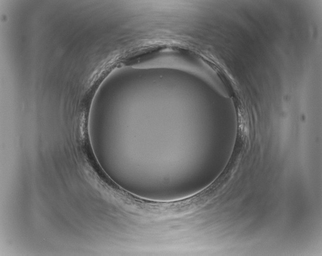 X0000054370023200507291058