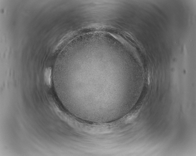 X0000054370024200507291058