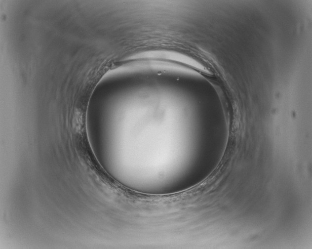 X0000054370025200507291058