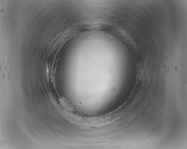 X0000054370026200507291058