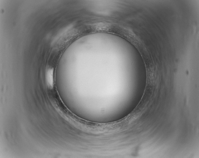 X0000054370028200507291058