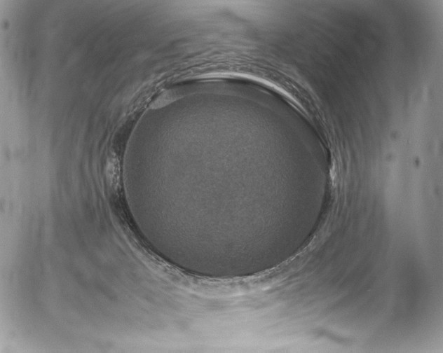 X0000054370029200507291058