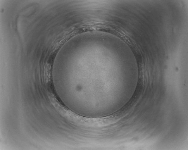 X0000054370030200507291058