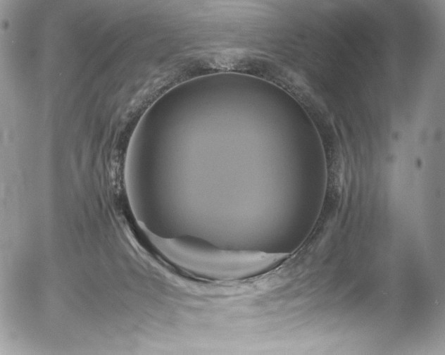 X0000054370031200507291058