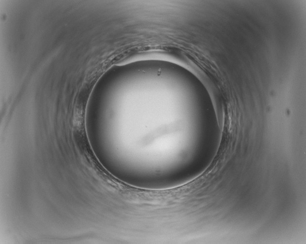 X0000054370033200507291058