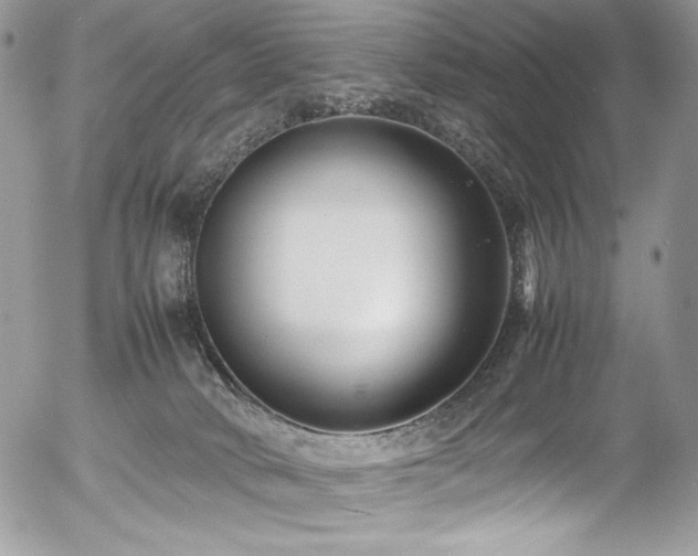 X0000054370034200507291058