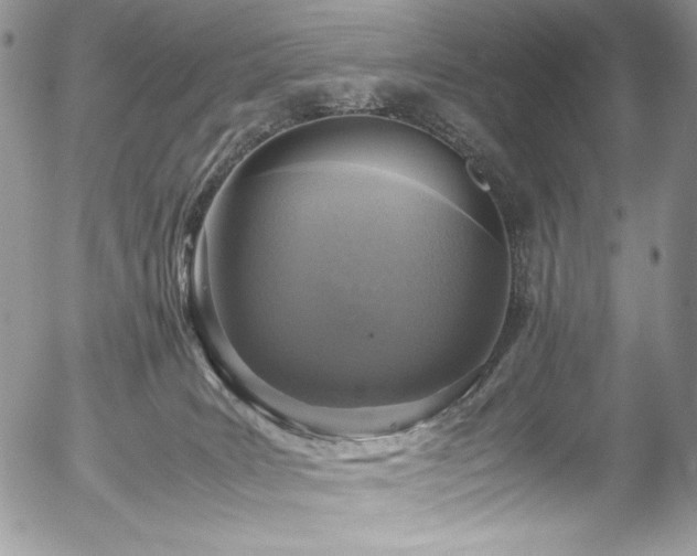 X0000054370035200507291058