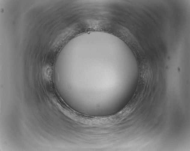 X0000054370036200507291058