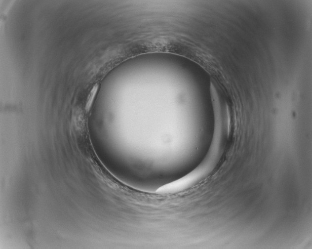 X0000054370037200507291058