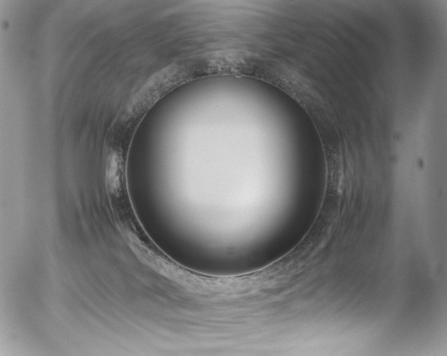 X0000054370038200507291058