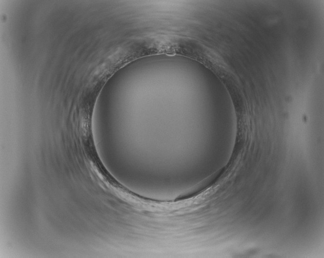 X0000054370039200507291058