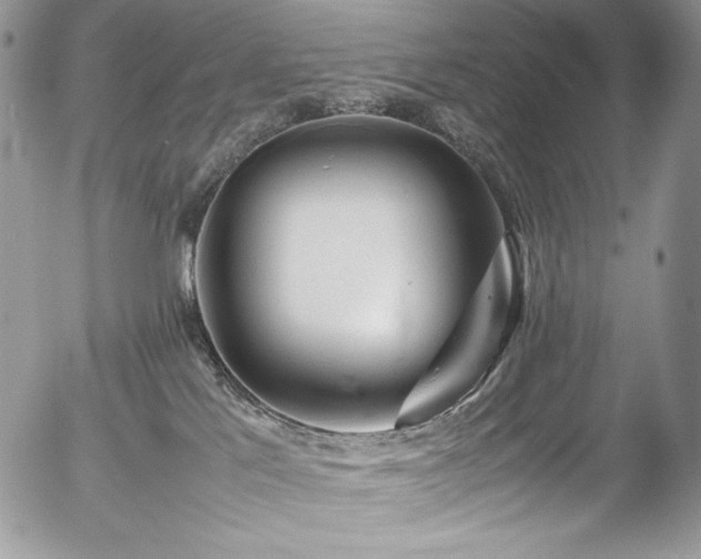 X0000054370041200507291058