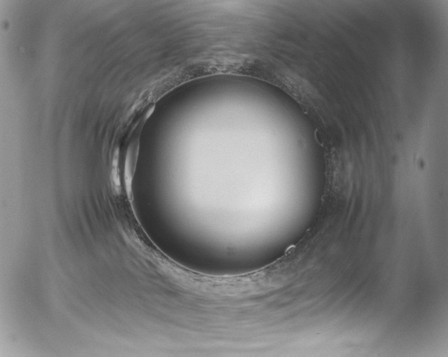 X0000054370042200507291058